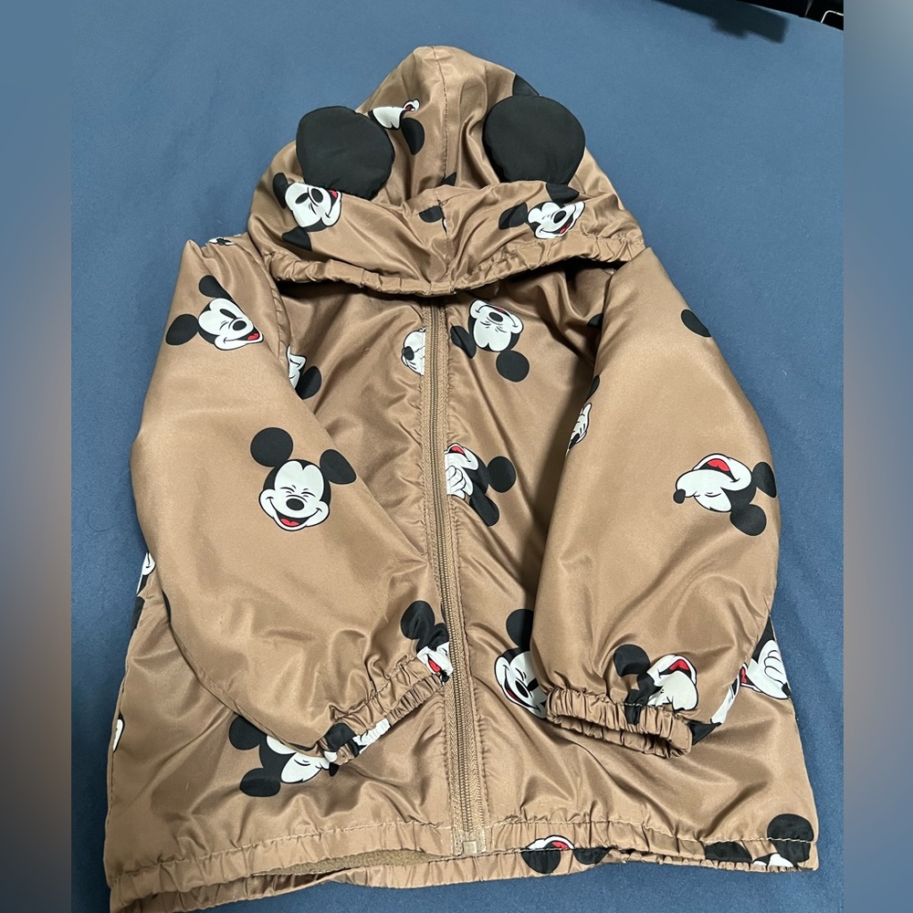 Pre-loved well taking care off super cute  Disney jacket size 2T
